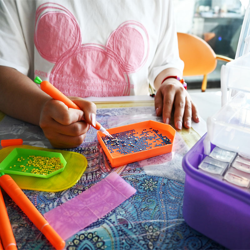 Diamond Embroidery Tools Carro - Bead Organizer Tray review and price